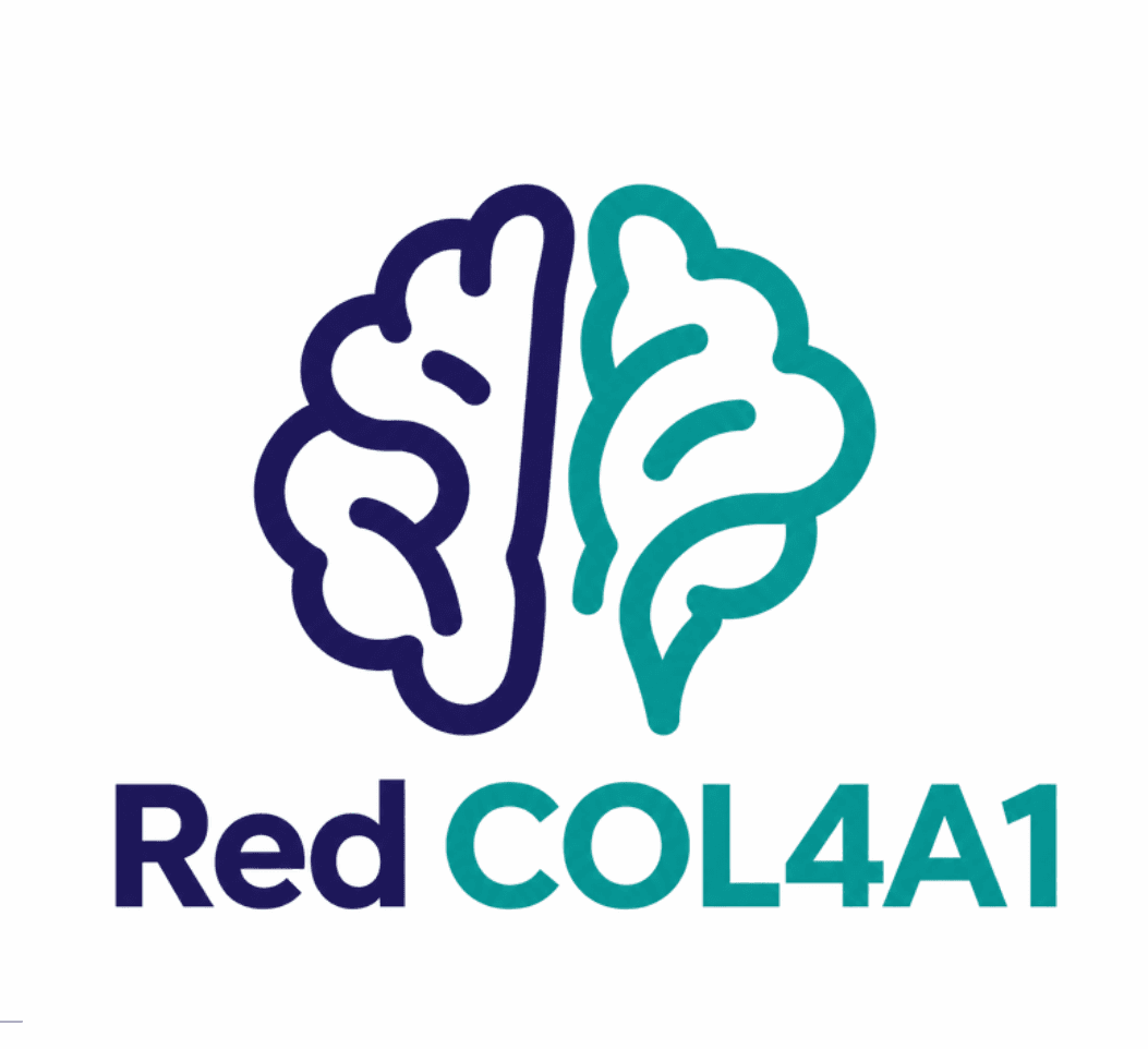 Logotipo de Red COL4A1: un cerebro dividido en azul marino y verde azulado